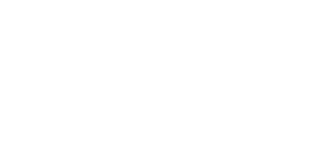 VeRo
