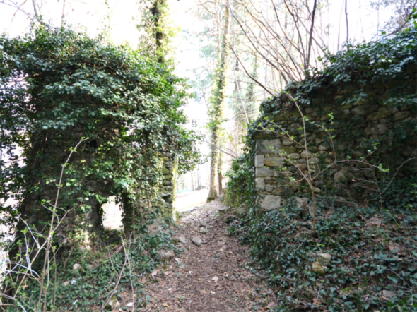 Ruderi del castello - Borgo San Dalmazzo