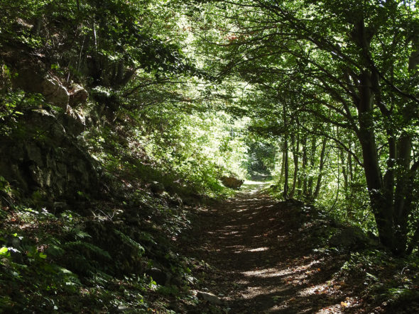 Via Romana - Limone