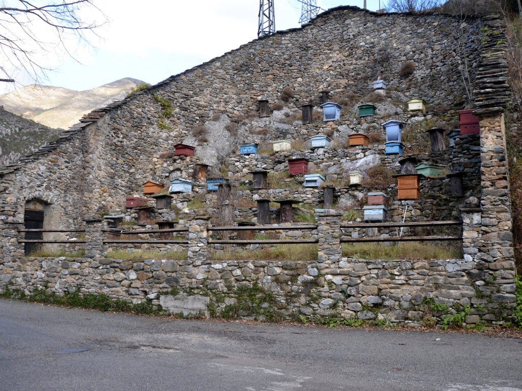 Ca d’arbine (ruchers enclos)