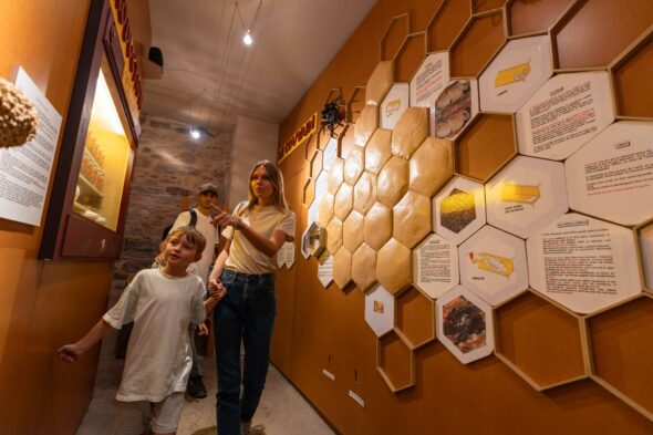 Maison du miel et de l’abeille – Tende